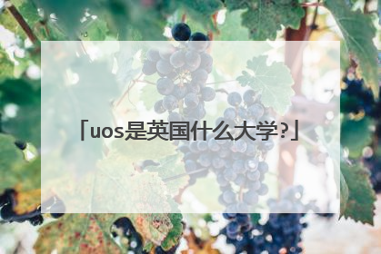 uos是英国什么大学?