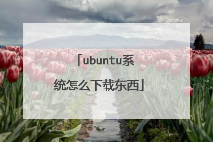 ubuntu系统怎么下载东西