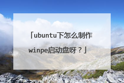 ubuntu下怎么制作winpe启动盘呀?