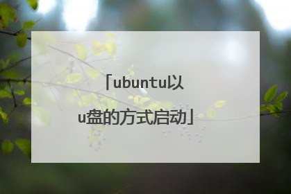 ubuntu以u盘的方式启动
