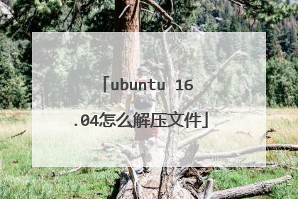 ubuntu 16.04怎么解压文件