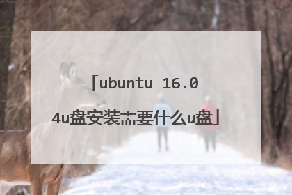 ubuntu 16.04u盘安装需要什么u盘