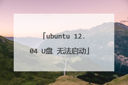 ubuntu 12.04 U盘 无法启动