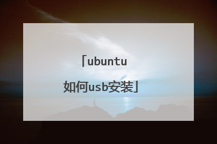 ubuntu 如何usb安装