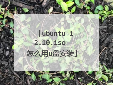 ubuntu-12.10.iso 怎么用u盘安装