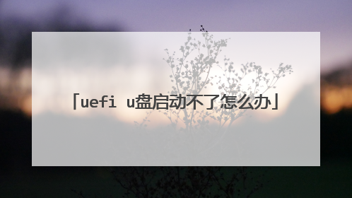 uefi u盘启动不了怎么办
