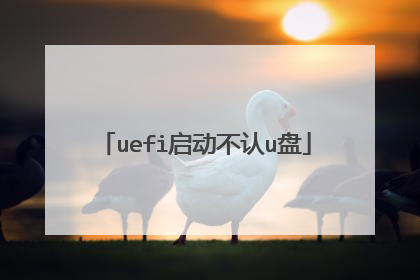 uefi启动不认u盘