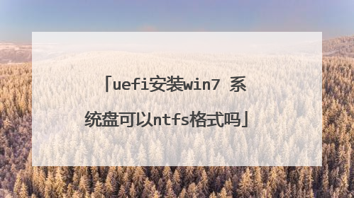 uefi安装win7 系统盘可以ntfs格式吗