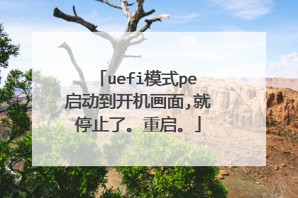 uefi模式pe启动到开机画面,就停止了。重启。