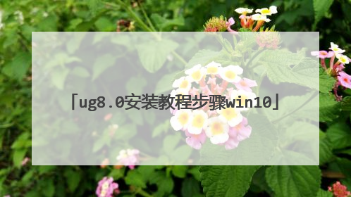 ug8.0安装教程步骤win10