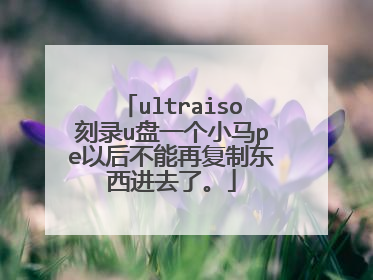 ultraiso刻录u盘一个小马pe以后不能再复制东西进去了。