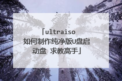 ultraiso 如何制作纯净版U盘启动盘 求教高手