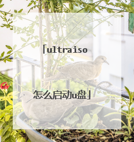 ultraiso 怎么启动u盘