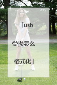 usb受损怎么格式化