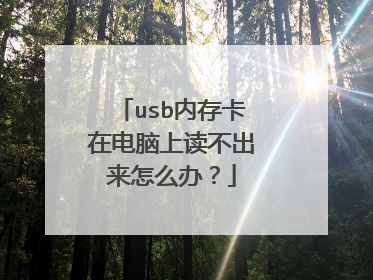 usb内存卡在电脑上读不出来怎么办？
