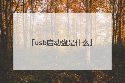usb启动盘是什么