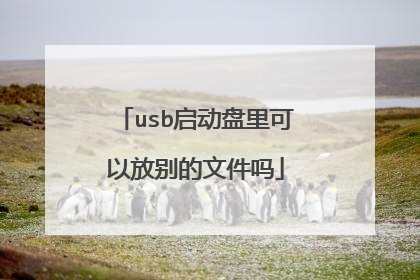 usb启动盘里可以放别的文件吗
