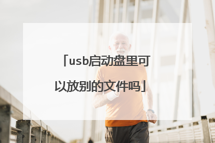 usb启动盘里可以放别的文件吗