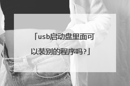 usb启动盘里面可以装别的程序吗?