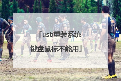 usb重装系统键盘鼠标不能用