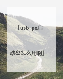 usb pe启动盘怎么用啊