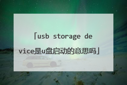 usb storage device是u盘启动的意思吗