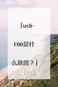 usb-FDD是什么意思?