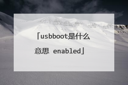 usbboot是什么意思 enabled