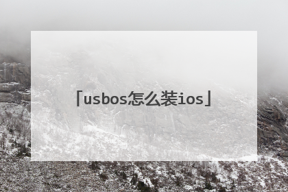 usbos怎么装ios