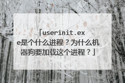 userinit.exe是个什么进程?为什么机器狗要加载这个进程?