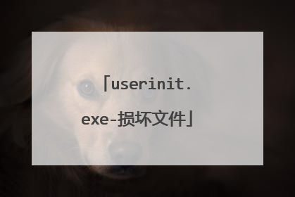 userinit.exe-损坏文件