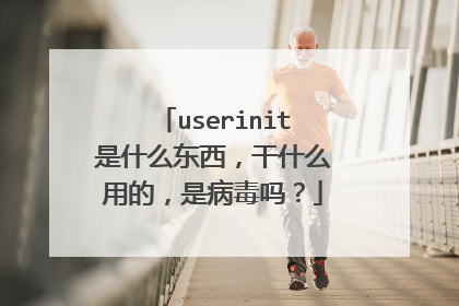 userinit是什么东西,干什么用的,是病毒吗?