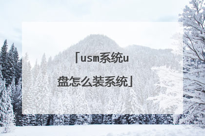 usm系统u盘怎么装系统