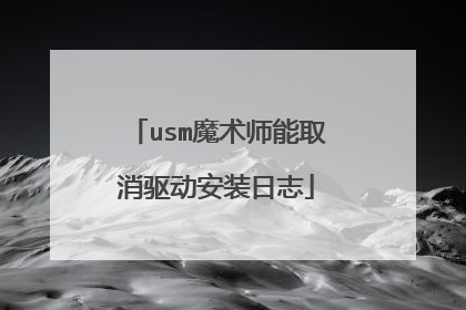 usm魔术师能取消驱动安装日志
