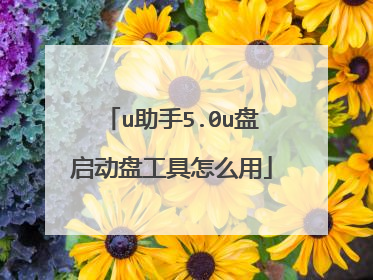 u助手5.0u盘启动盘工具怎么用