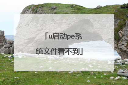 u启动pe系统文件看不到
