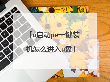 u启动pe一键装机怎么进入u盘