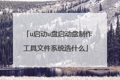 u启动u盘启动盘制作工具文件系统选什么