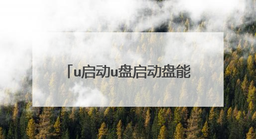 u启动u盘启动盘能否支持iso格式系统镜像文件的安装