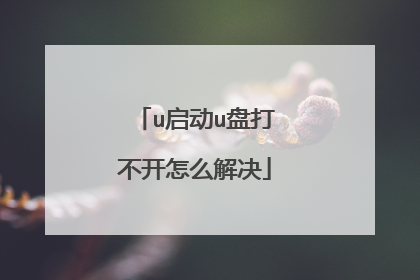 u启动u盘打不开怎么解决