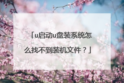 u启动u盘装系统怎么找不到装机文件？