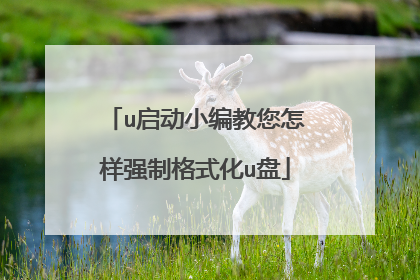 u启动小编教您怎样强制格式化u盘