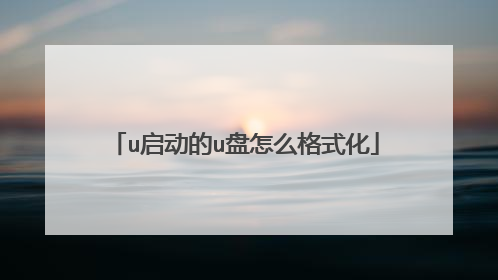 u启动的u盘怎么格式化