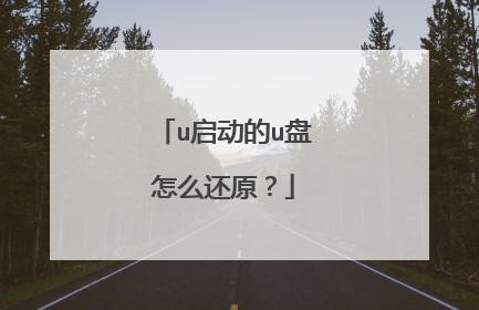 u启动的u盘怎么还原?