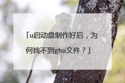 u启动盘制作好后,为何找不到gho文件?
