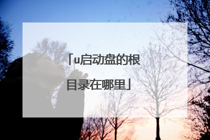 u启动盘的根目录在哪里