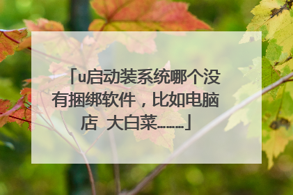 u启动装系统哪个没有捆绑软件,比如电脑店 大白菜………