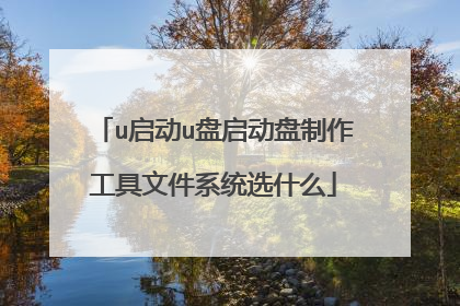 u启动u盘启动盘制作工具文件系统选什么