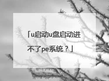 u启动u盘启动进不了pe系统?