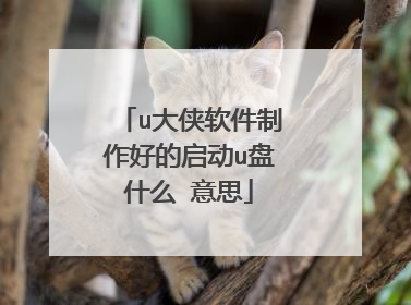 u大侠软件制作好的启动u盘什么 意思